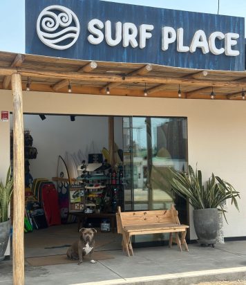 WhatsApp Image 2026-03-20 at 8.12.20 AM